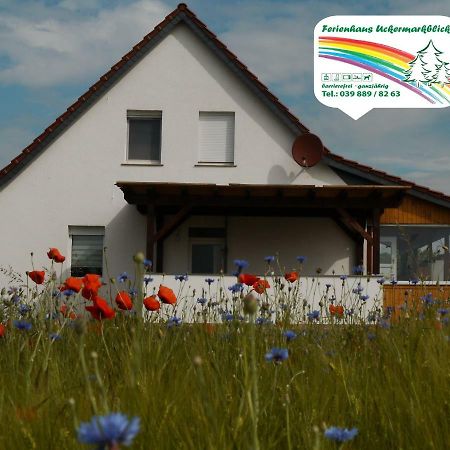 Ferienhaus-Uckermarkblick Rosenow  エクステリア 写真