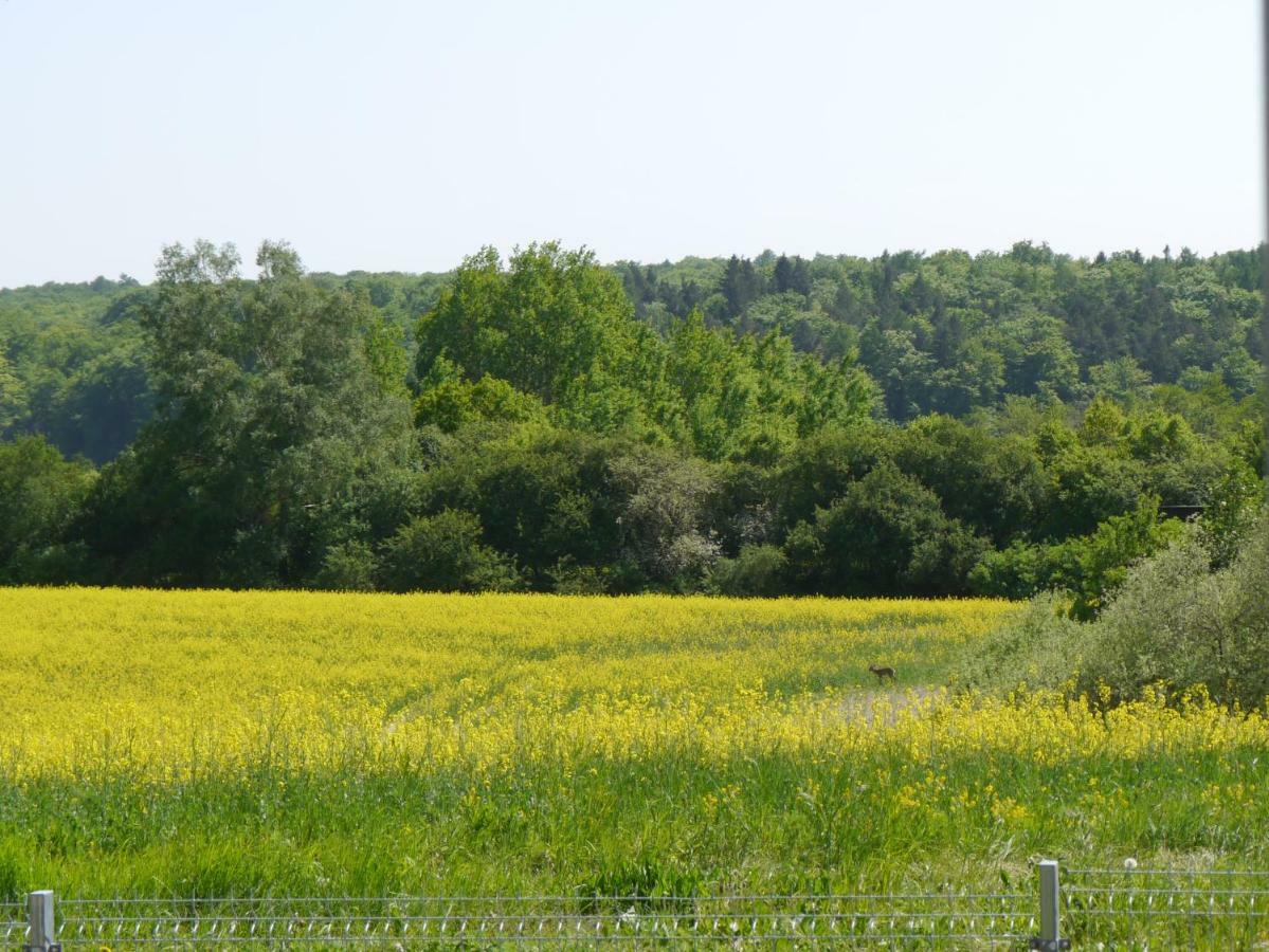 Ferienhaus-Uckermarkblick Rosenow  エクステリア 写真